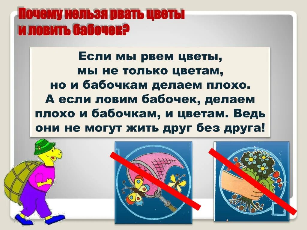 Надо ли срывать. Почему нельзя ловить бабочек. Почему нельзя рвать цветы и ловить бабочек. Запрещается ловить бабочек. Почему нельзя рвать растения.