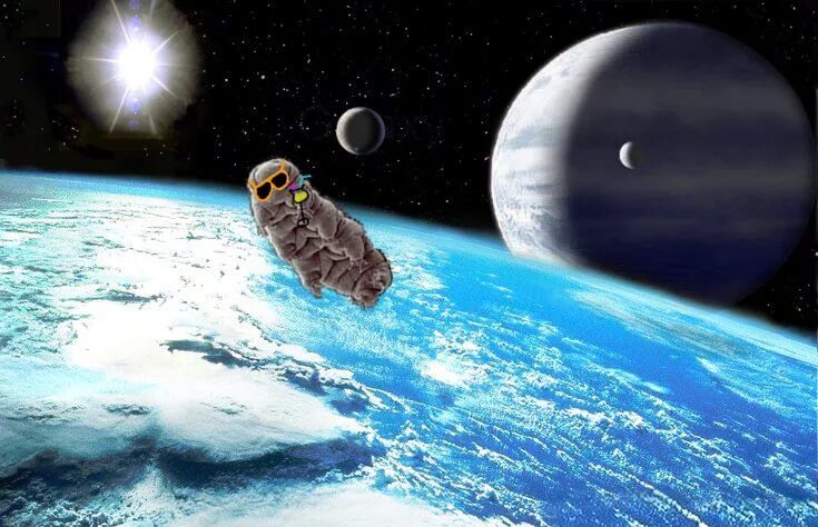 Super terra. Super terra