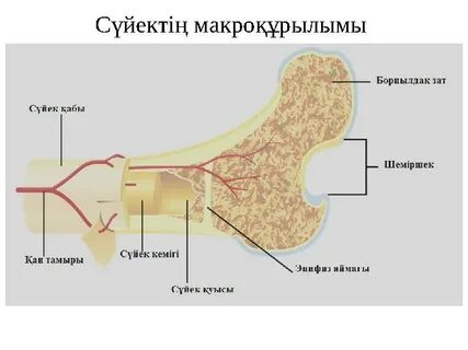 Қара көзге арналған клиптер