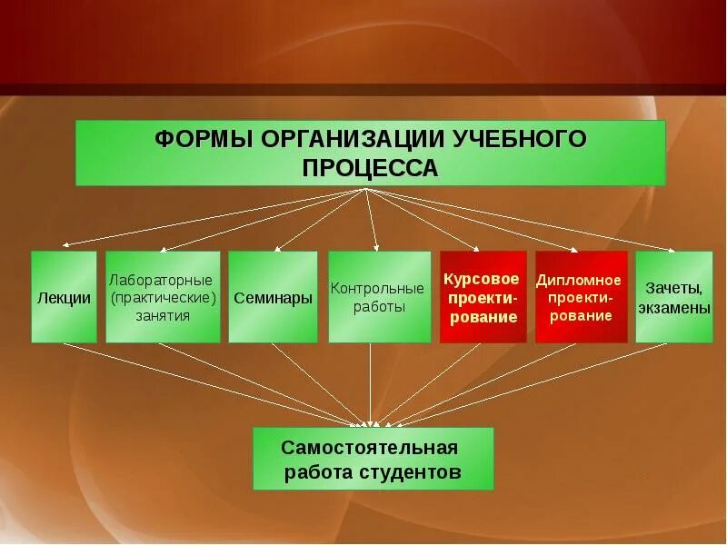 Основные формы образовательных организаций. Формы организации учебного процесса. Формы организации образовательного процесса. Формы организации уч процесса. Формы организации самостоятельной работы студентов.