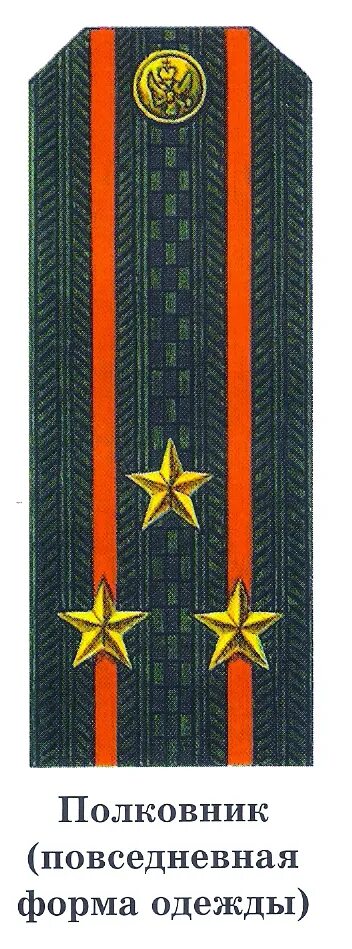 Звание подполковник возраст. Полковник подполковник майор погоны. генерал майор лейтенант полковник. лейтенант-майор звание. майор лейтенант полковник звания.