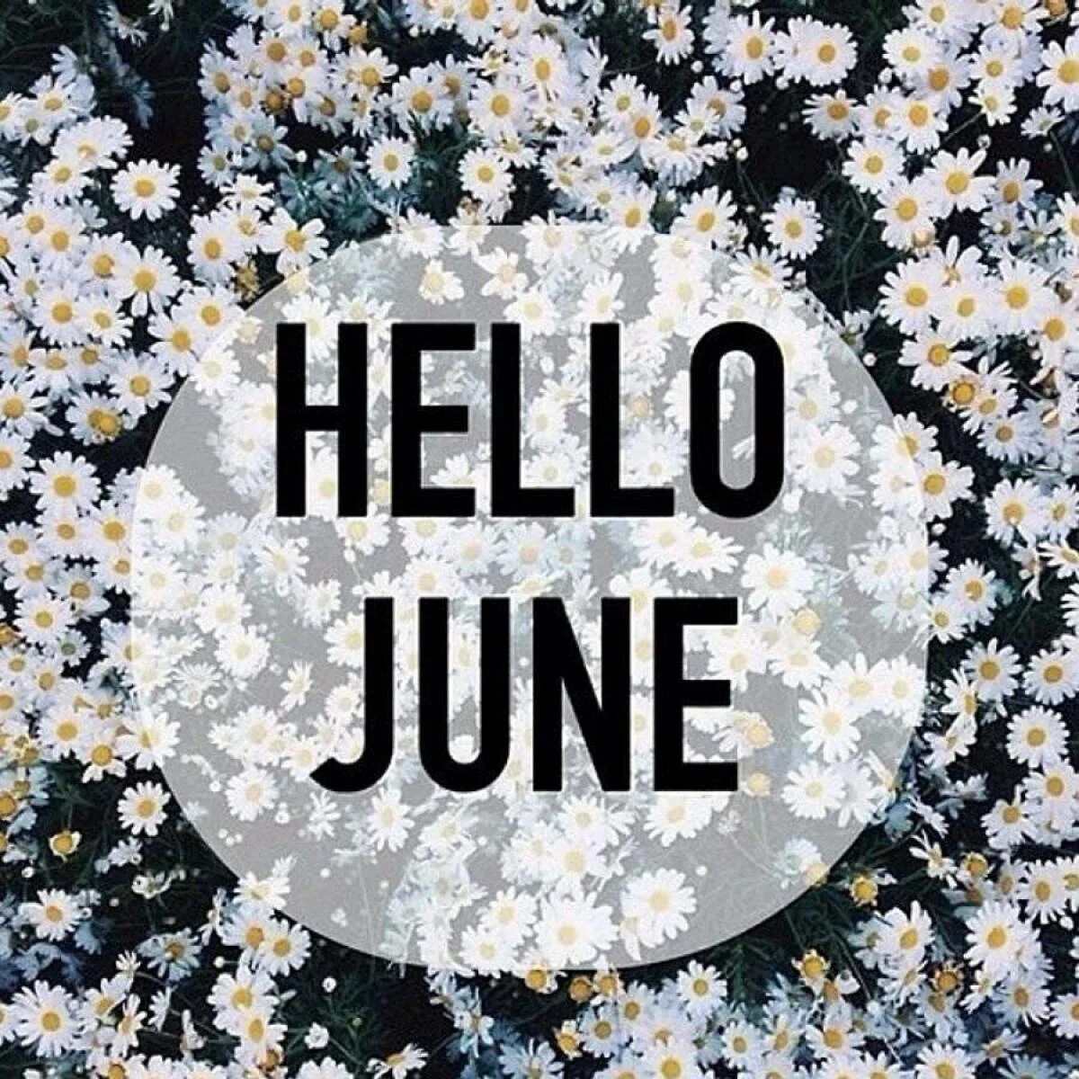 Картины hello. Привет июнь. June надпись. Привет июнь надпись. Hello June картинка.