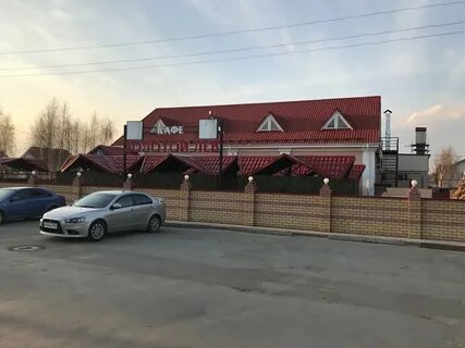 Лев город бор