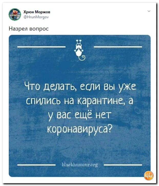 И настою я на своем