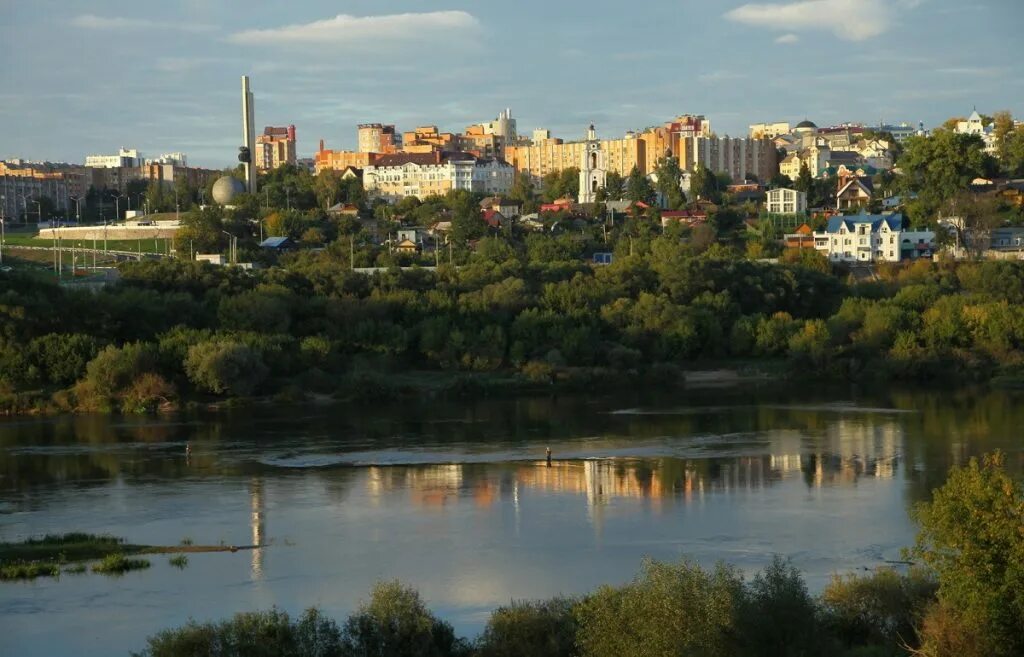 Калуга вид с правого берега. Даурский сокол балобан. Хищные птицы ленинградской области ястреб. Калужская область сокол. Калужская область сокол.