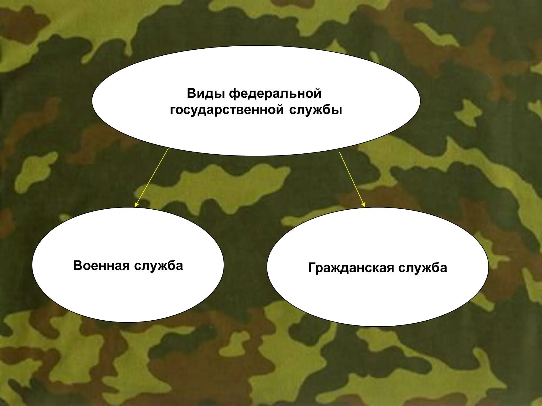 Виды военной службы. Особые виды военной службы. Военная служба особый вид государственной службы. Перечислите виды военной службы. Как называется особый вид государственной службы