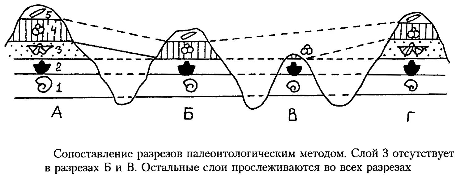 Палеонтологический метод определения. Палеонтологический метод определения возраста горных пород. палеонтологический метод определения возраста пород. биостратиграфические методы. метод руководящих ископаемых.