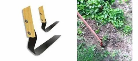 i?id=f37c9373f22a344240f6116a2e918e8f8895cf96-10808639-images-thumbs&n=13