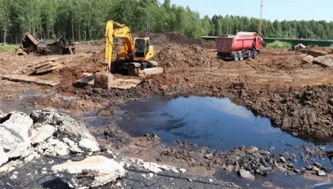 Рекультивация земель загрязненных тяжелыми металлами