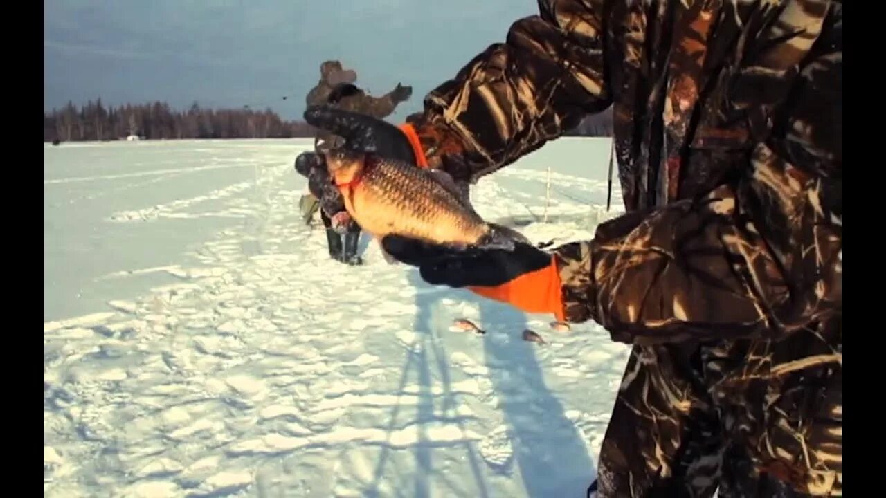 Зимняятз рыбалка вякуьтии. Рыбалка в якутии зимой. Рыбалка якутия 2021. Подледная рыбалка в якутии. Рыбаки на севере.
