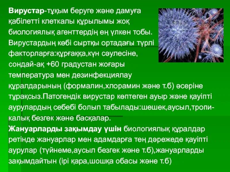 Компьютерные вирусы слайд. Вирус деген не. Мутанттык вирустар комптютер. Вирус деген не. Компьютерде вирус деген не.