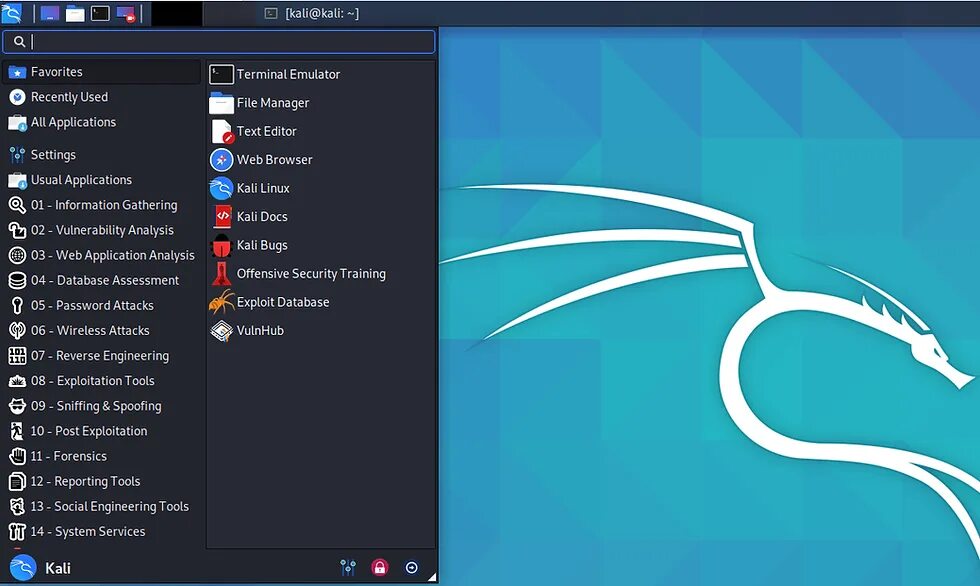 Утилиты kali Linux. Кали линукс 2022. Инструменты kali Linux. Kali Linux Интерфейс.