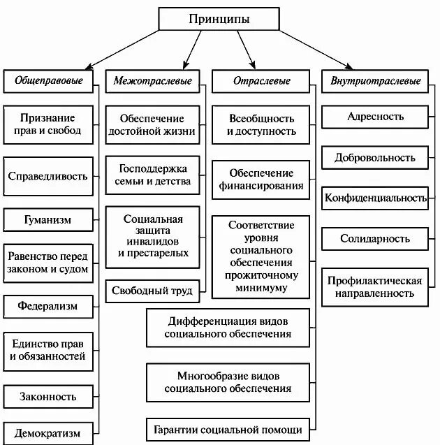 Классификация является принципом. Принципы ПСО таблица.