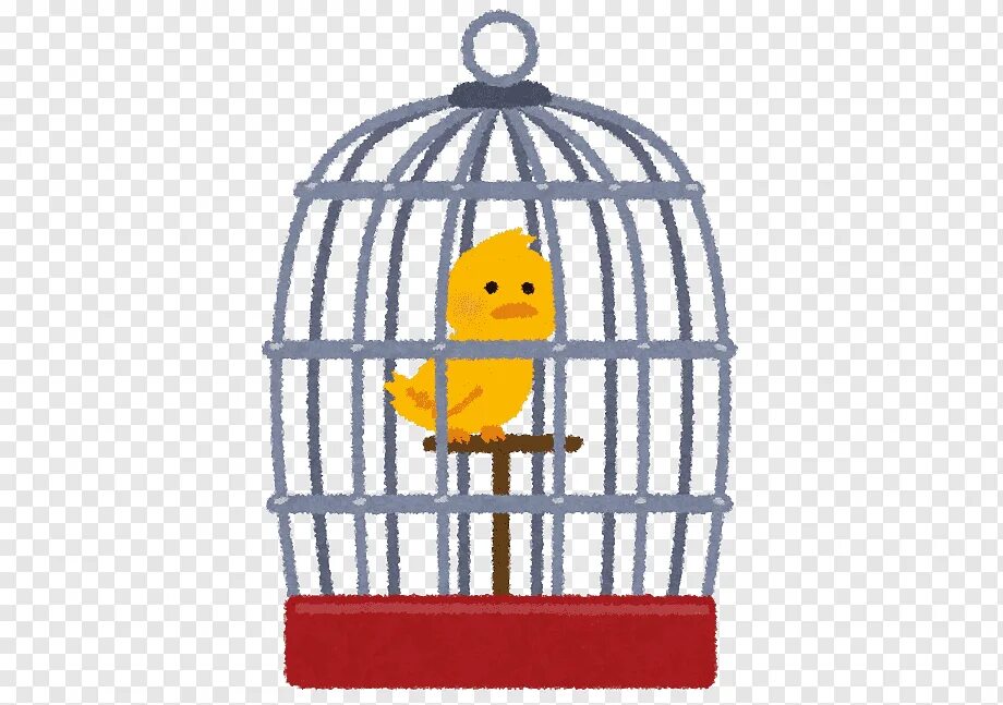 Клетка с попугаем. Птица в золотой клетке. Клетка для птиц желтая. Птичка без клетки
