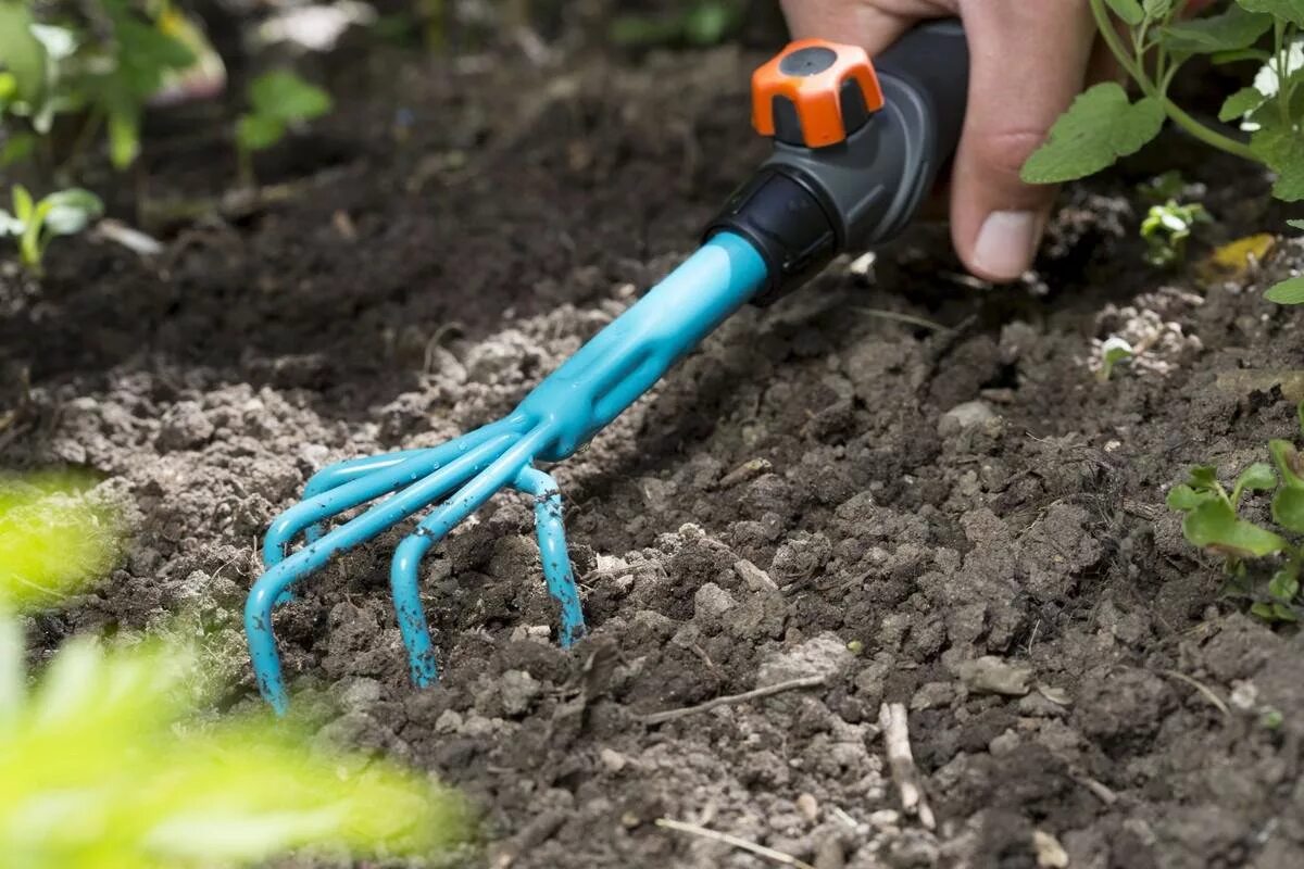 Нужно полить огород. 08923-20.000.00\ Gardena. Рыхление пиона. Прополка рыхление полив. Рыхление почвы.