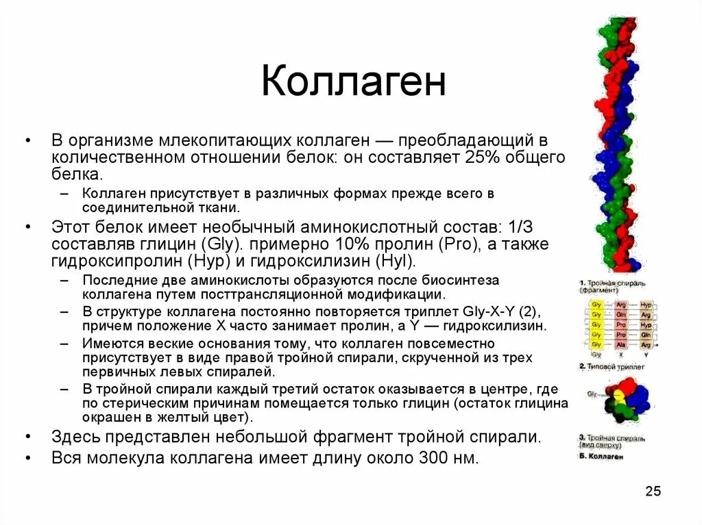 Коллагеновая структура белка. Коллаген строение белка биохимия. Особенности структуры коллагена. Особенности состава коллагена.