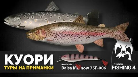 Куори приманки