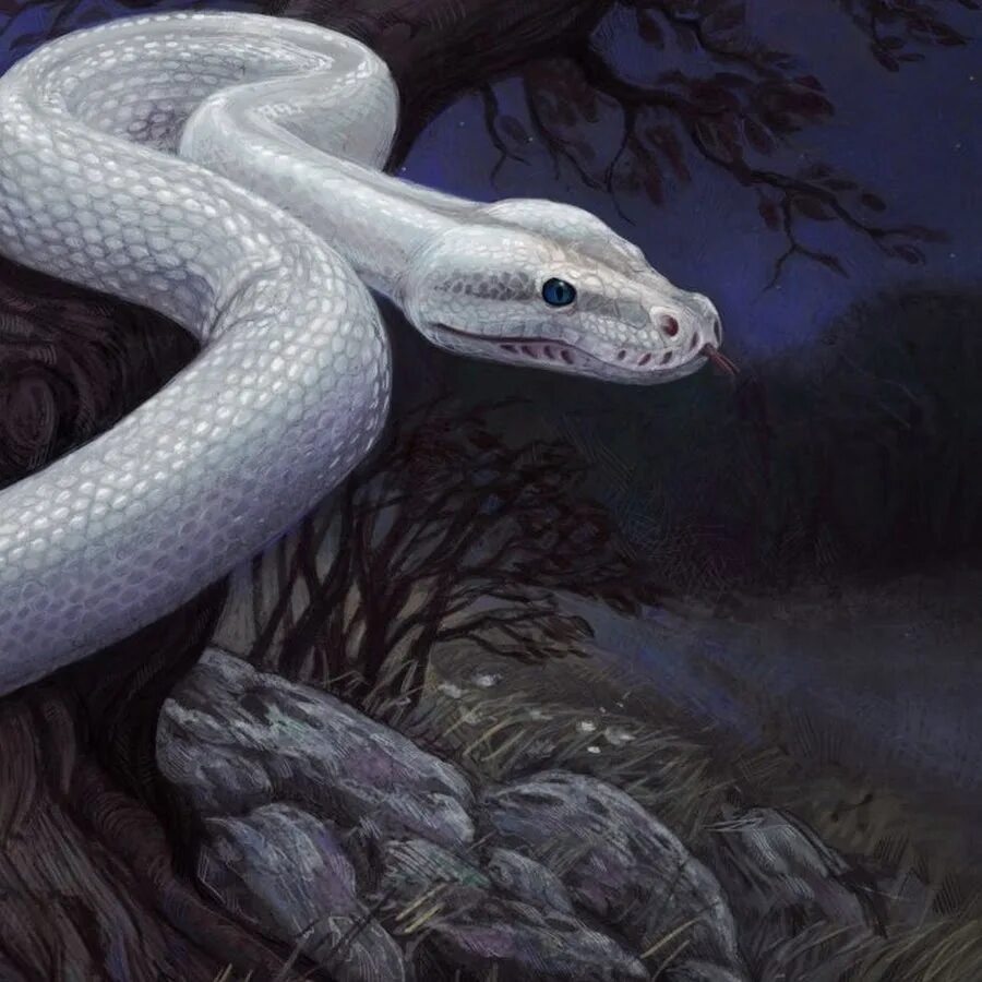 Белая змея 2001. Фамильяр белая змея. Белый змей. Белая змея 3.