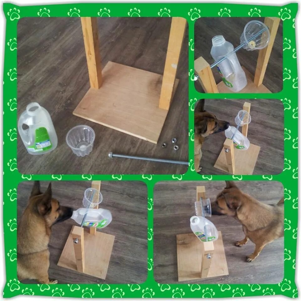 развивающие игрушки для собак своими руками. игрушки для собак своими руками. игрушки для собак чтобы подвесные самодельные. собака самоделка. развивающие игрушки для собак своими руками.