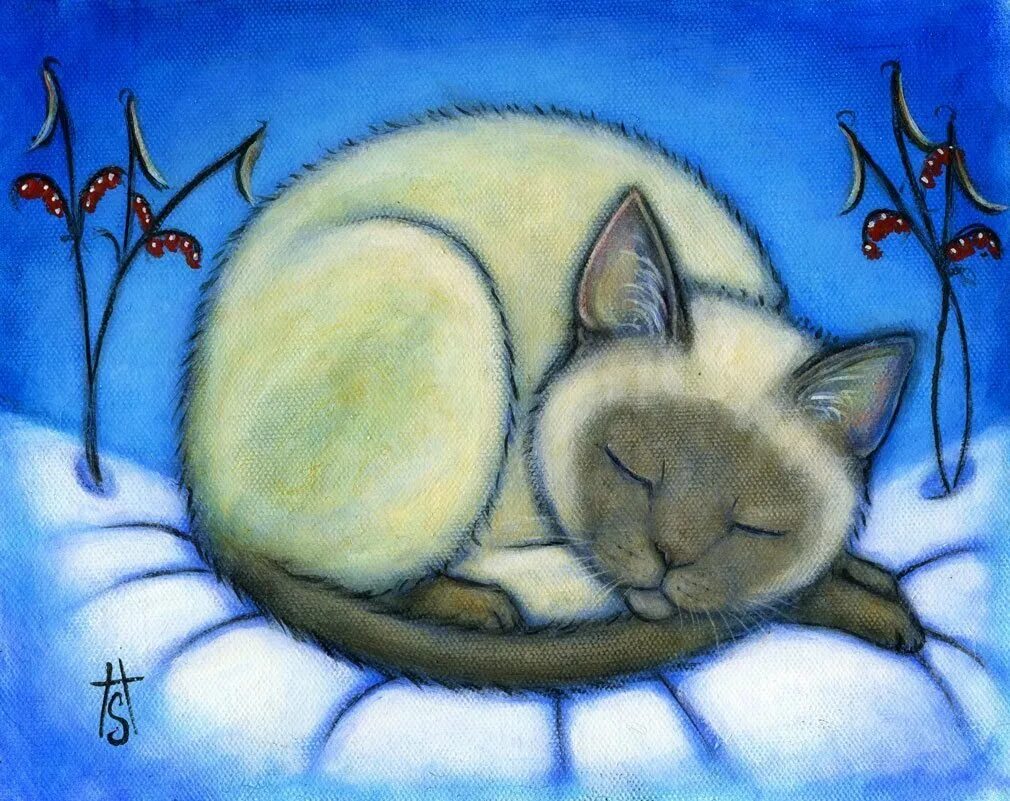 Нарисуй спящего. Кот спит клубком. спящий кот рисунок. кошка спит рисунок. нарисовать спящего кота.