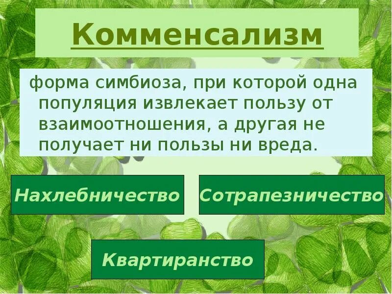 Животные паразиты 3 класс. Комменсализм». Нахлебничество тип взаимоотношений. Что один организм нахлебник извлекает от другого. Что один организм нахлебник извлекает от другого.