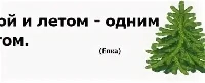 Зимой и летом 1 цветом ответ