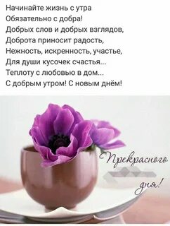 Афоризм доброе утро красивое