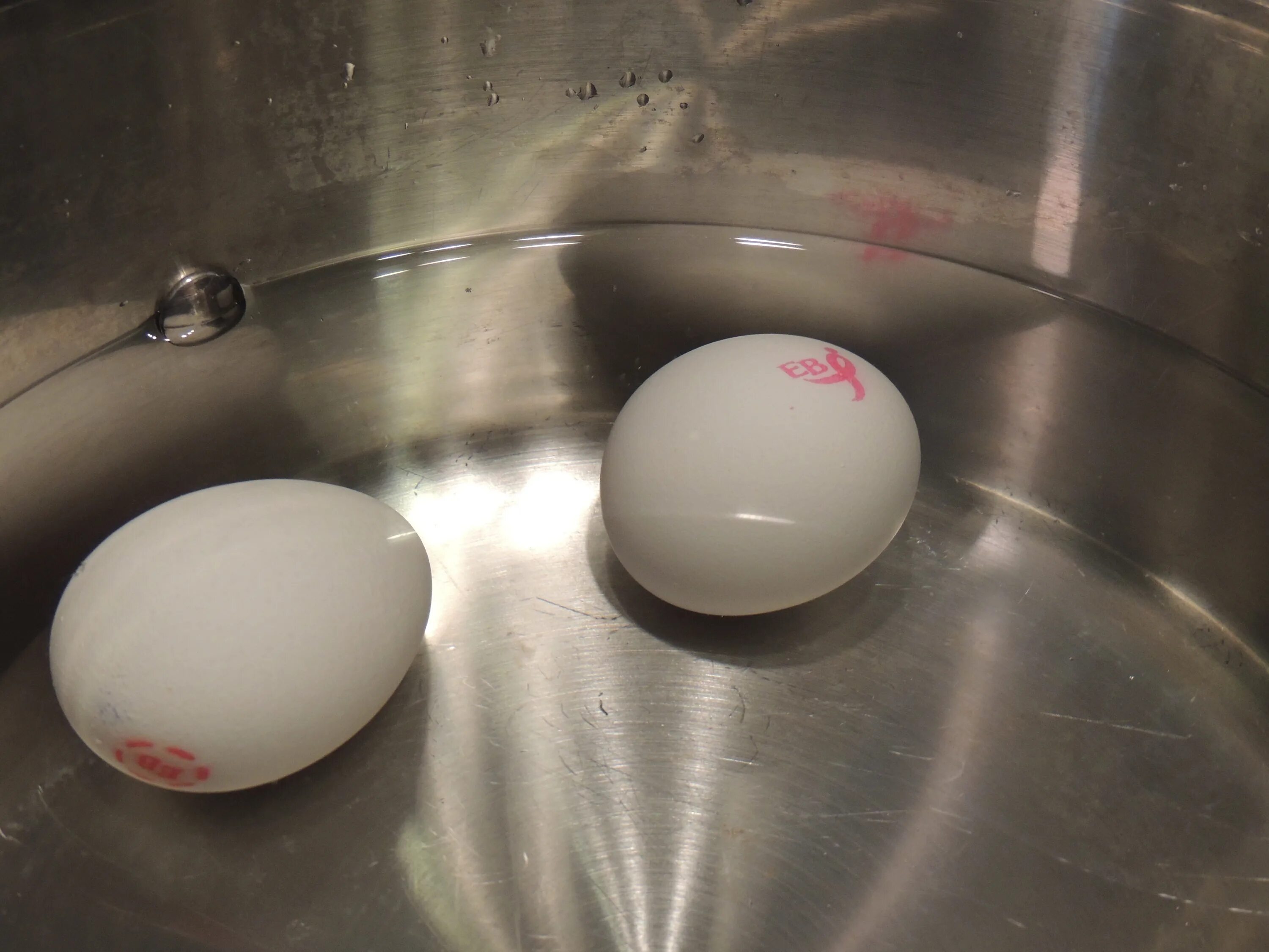 Чем можно начинать яйца. Яйцо крутится. Крутит яйца. Специальные тарелки для сырых яиц. Вареное яйцо или сырое.