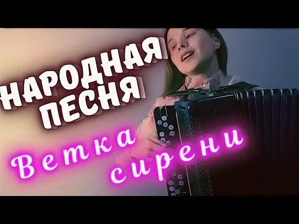 Ветка сирени Заволокина. Ветка сирени Заволокина слушать. Ветка сирени текст Заволокина.