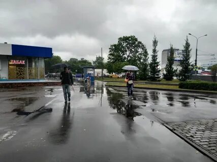 Дожди мест