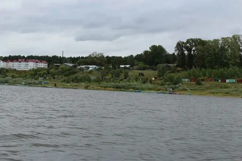 Устье реки оки