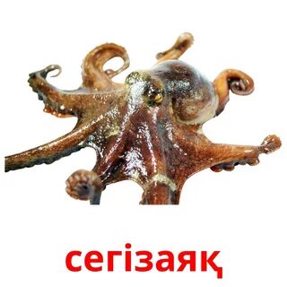 Суретші Сотникованың суреті