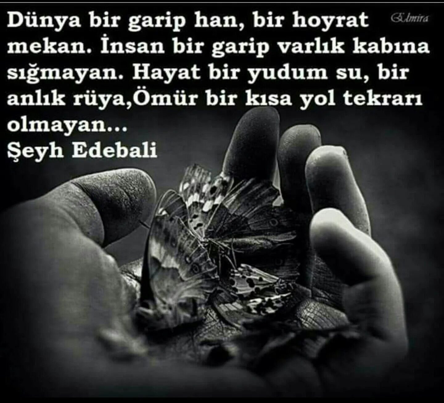 Yolun dusse bu dunyaya. Yolun dusse bu dunyaya