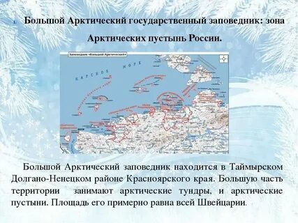 Арктический заповедник расположен на северной земле