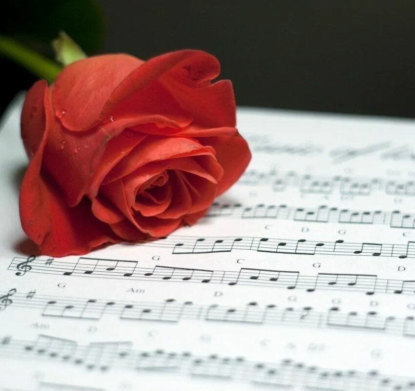 Открытка музыканту. Цветы для музыканта. Цветы на рояле. Открытка музыканту. Открытка поздравляю с днем культуры.