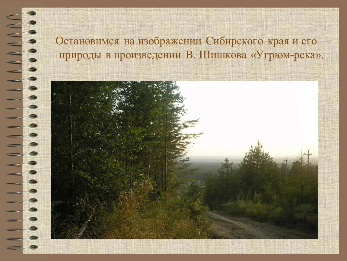 Рассказы сибирских писателей. Писатели Сибирского края. Произведения сибирских писателей. Писатели Сибири о природе края. Сибирская природа в произведениях русских писателей.