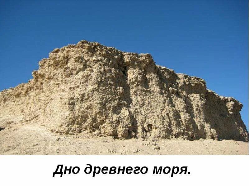Остаток древнего моря какое озеро. Остаток древнего моря какое озеро