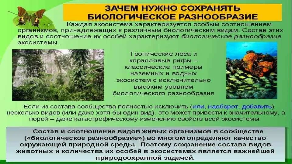 Пути сохранения биологического разнообразия. Сохранение биологического разнообразия. Биологическое разнообразие. Биоразнообразие в экосистеме. Сохранение видового разнообразия.