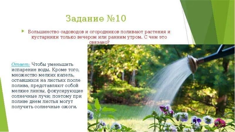 Поливаю почему и