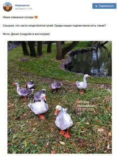 Погода 10 дней гусе