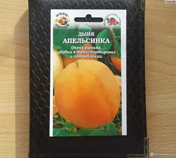 Дыня алтайская отзывы