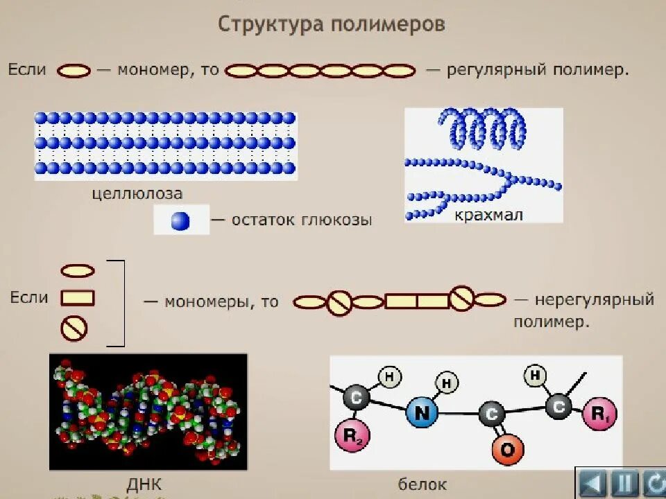 Полимеры регулярного и нерегулярного строения. Схема строения мономеров и полимеров. Схема строения полимера. Регулярное строение полимера. Рисунок биополимеров