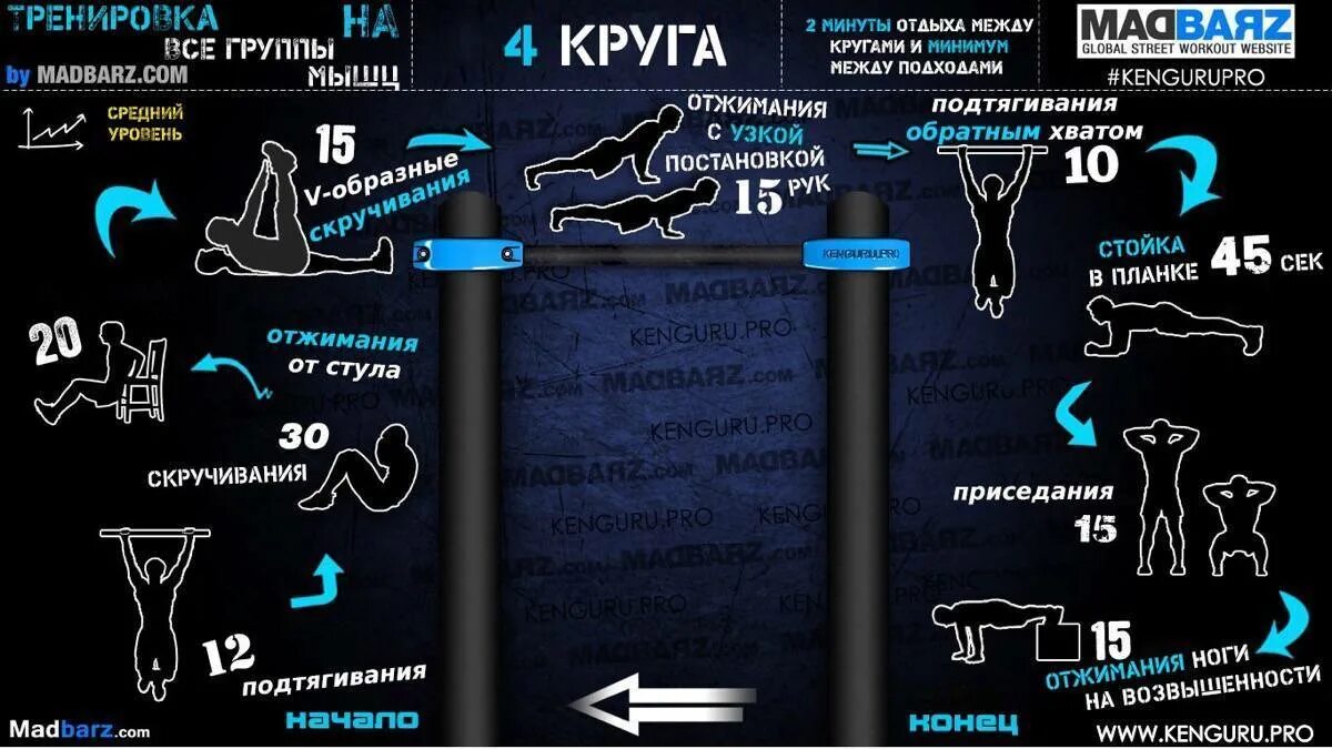 Программа тренировок shark. Занятия с собственным весом. Упражнения с собственным весом. Тренировки со своим весом. Тренировка на все группы мышц.