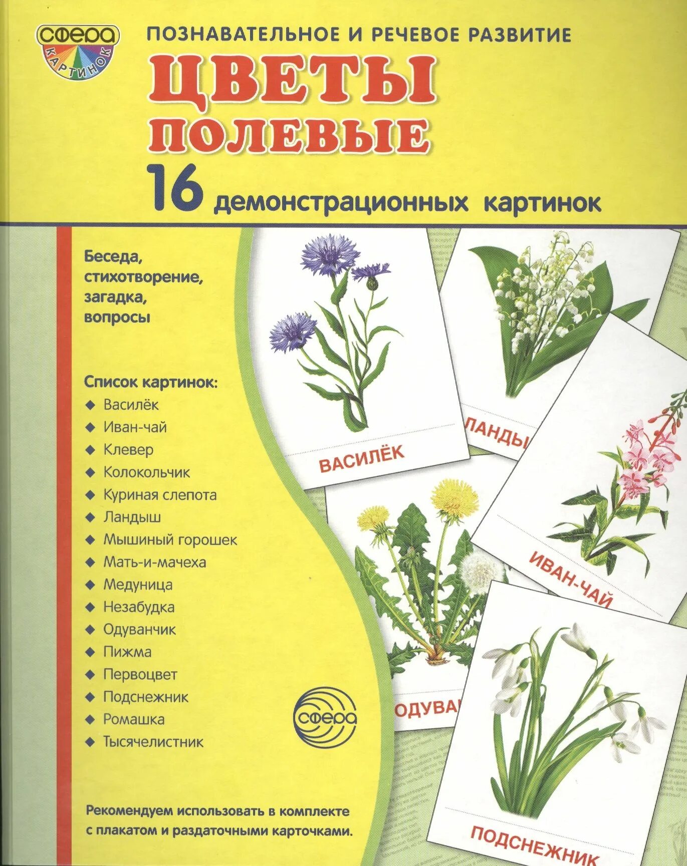 Раздаточные карточки цветы полевые. Садовые и луговые цветы. Полевые и луговые цветы названия. Полевые цветы обучающие карточки. Луговые растения список