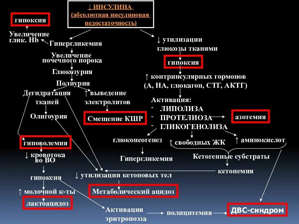 Патогенез глюкозурии при сахарном диабете. Механизм развития глюкозурии. Механизм развития гипергликемии. Патогенез гипергликемии.