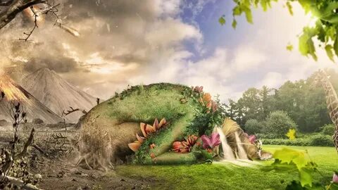 Nature v