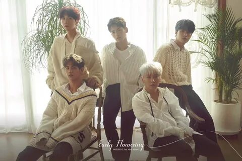 Hotshot