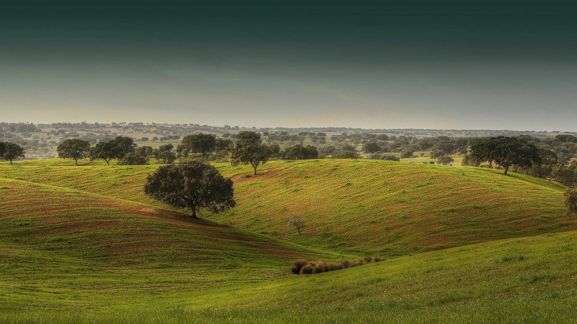 Rolling hills. Пейзажи земли. Фон для рабочего стола пейзаж. Rolling Landscape.