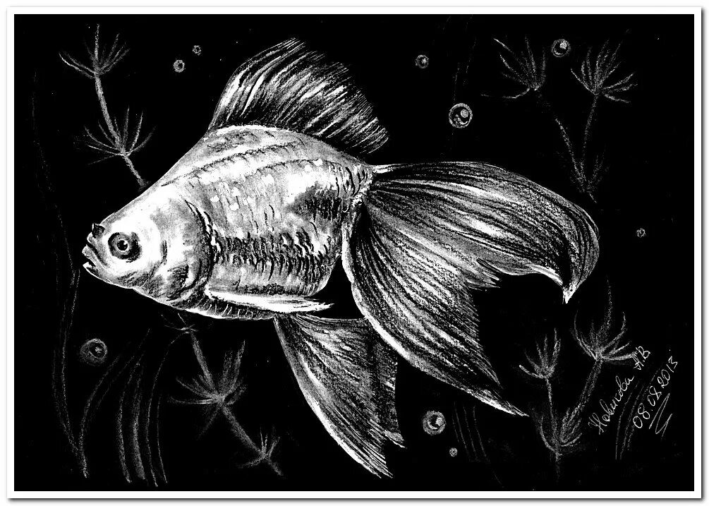Граттаж Золотая рыбка. Рыба гравюра. Рыбки Графика. Черно белые рисунки.