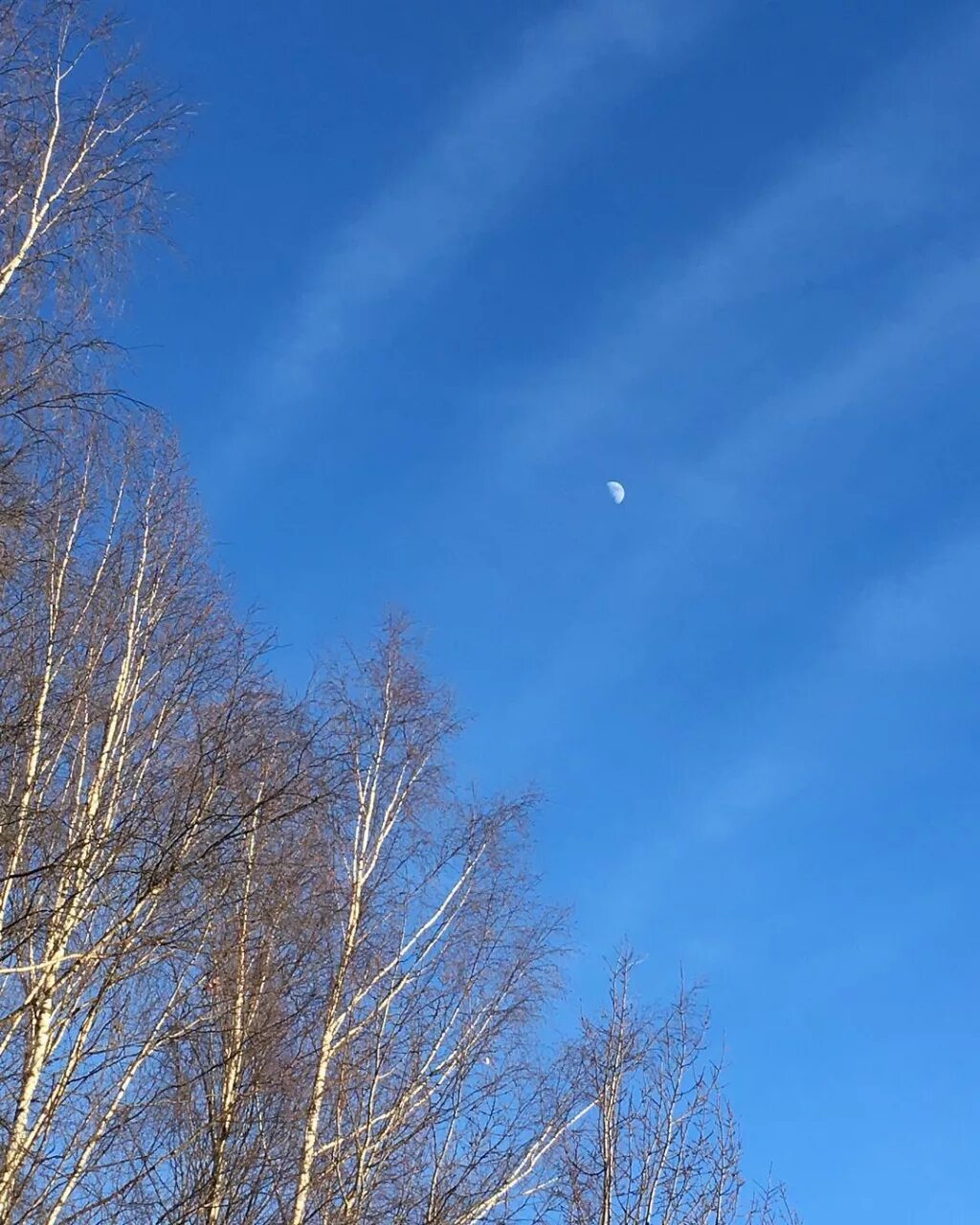 Весеннее небо. Голубое небо весной. Мартовская голубое небо. Мартовская голубое небо. Мартовская голубое небо.
